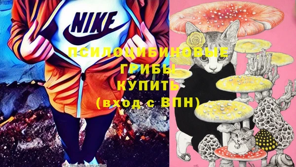 твердый Липки