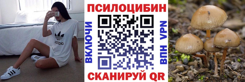 Купить закладки  Николаевск-на-Амуре  Галлюциногенные грибы Cubensis 
